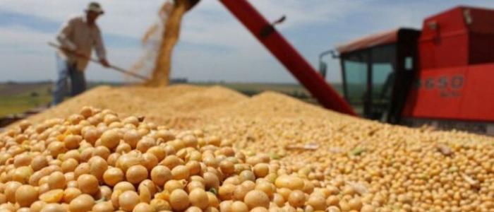 El agro ganó tiempo, pero la suba de retenciones sería inminente